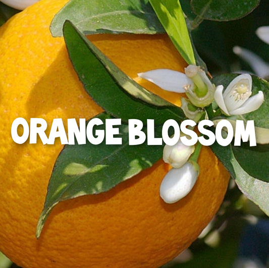 STRONG ORANGE BLOSSOM